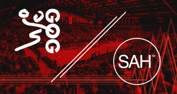 Finalekamp - Aalborg Håndbold - GOG/SAH
