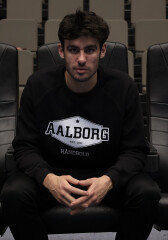 Logo sweatshirt (sort)